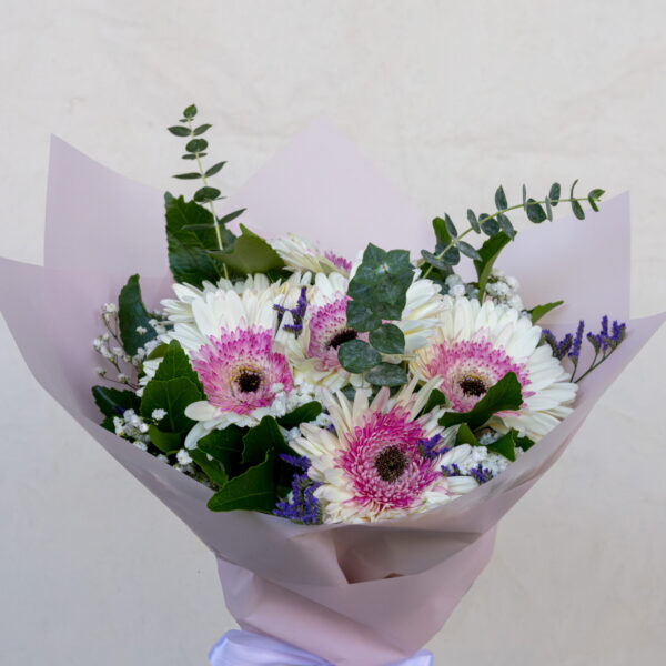 Dulzura de Primavera en Gerberas